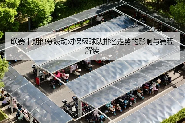 联赛中期积分波动对保级球队排名走势的影响与赛程解读