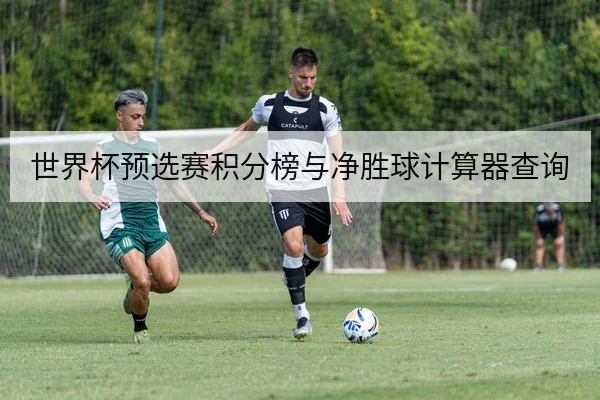 世界杯预选赛积分榜与净胜球计算器查询